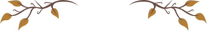 活動方式