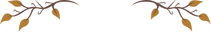 鐵粉獎勵
